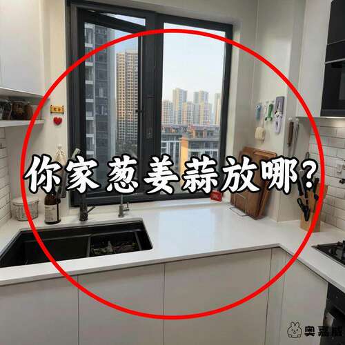 壁挂式收纳筐葱姜蒜厨房收纳盒吸盘置物架生姜大蒜调料免打孔挂篮