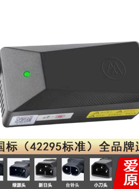 爱玛牌电动车专用铅酸锂艾玛原装正品电瓶车48v60v新国标充电器