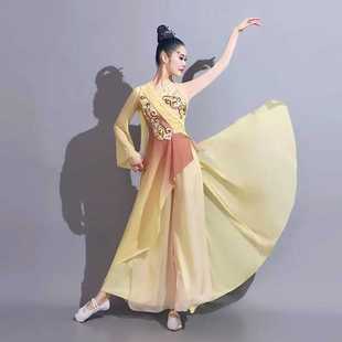 古典舞演出服女2024新款飘逸剧目寒依疏影同款舞蹈服装艺考表演服