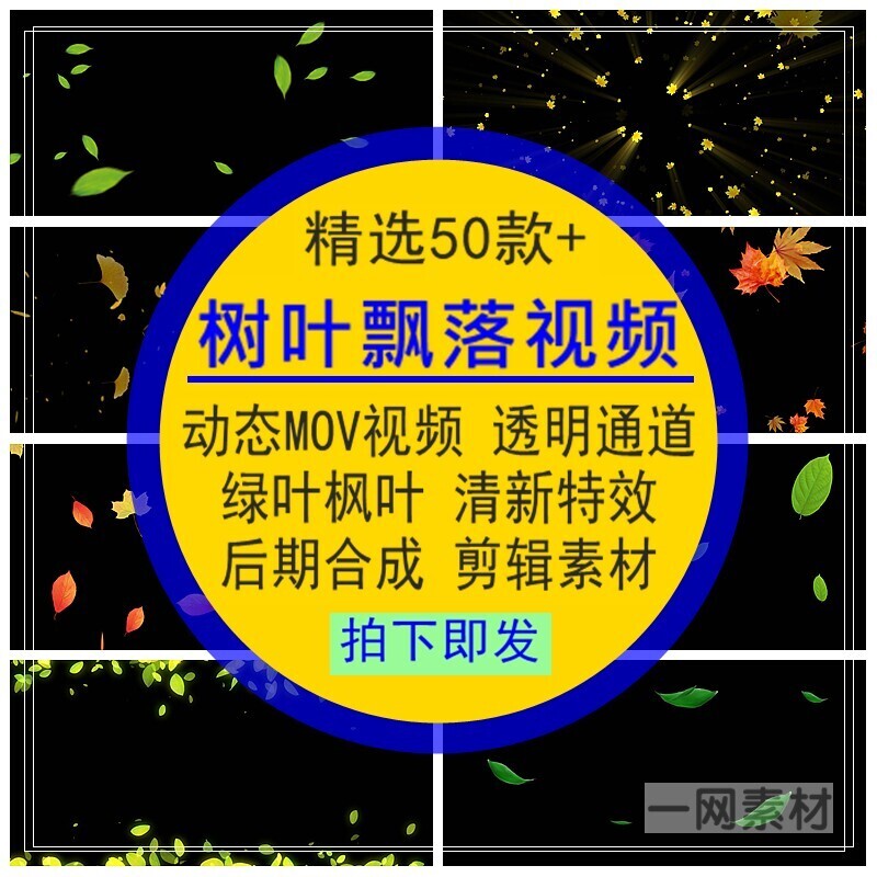 树叶飘落视频秋天枫叶绿叶子清新特效果动态MOV透明通道剪辑素材