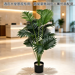 仿真绿植散尾葵龟背叶客厅盆栽