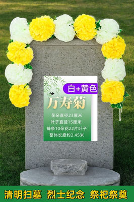 rte其他ho/祀奠条藤装清