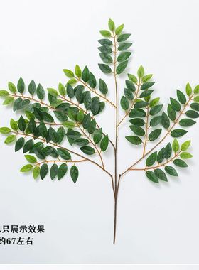 仿真植物榆树叶手感洋槐树枫杨朴树假刺槐叶搭配装饰树枝假树叶子