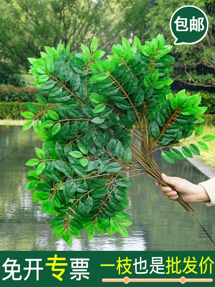仿真榆树叶手感过胶塑料绿色