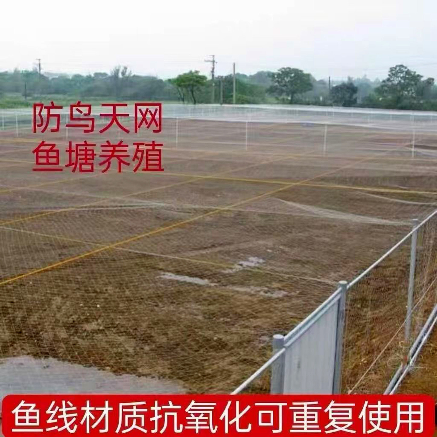 加粗尼龙防鸟网果园阳台鱼塘