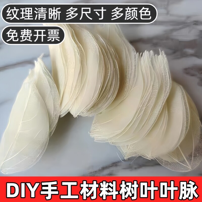 新金刚叶叶脉书签标本天然树叶片贺卡学生画手工diy材料相框装饰