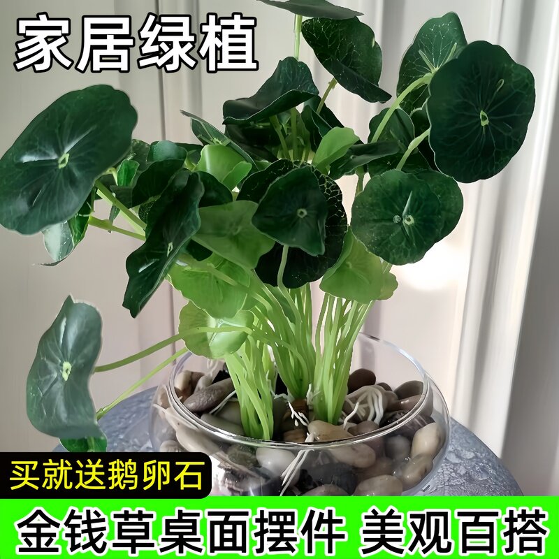仿真绿植盆栽室内花艺造景小植物客厅假花电视柜桌面卧室摆饰盆景