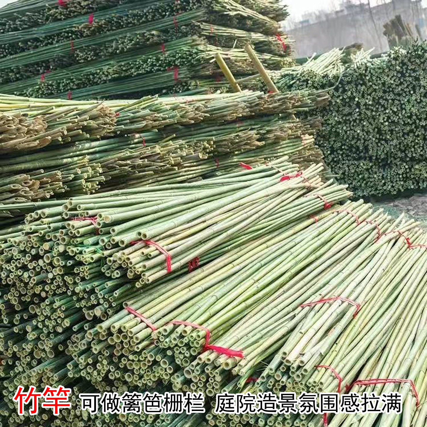 坚硬不易变形竹竿园艺搭架爬藤