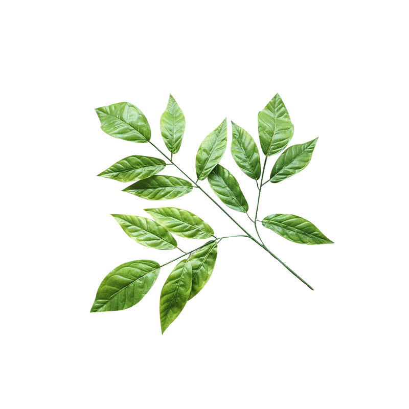 仿真芒果树叶塑料绿植叶子人造树枝园林工程装饰树叶假芒果树枝叶