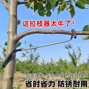 果树拉枝定型压枝神器果树压弯枝效率高花卉园艺盆景造型专业压枝