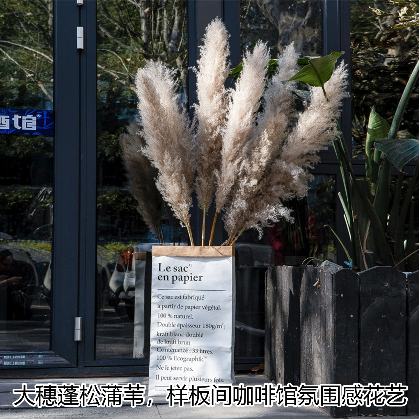落地大芦苇草真干花束客厅橱窗