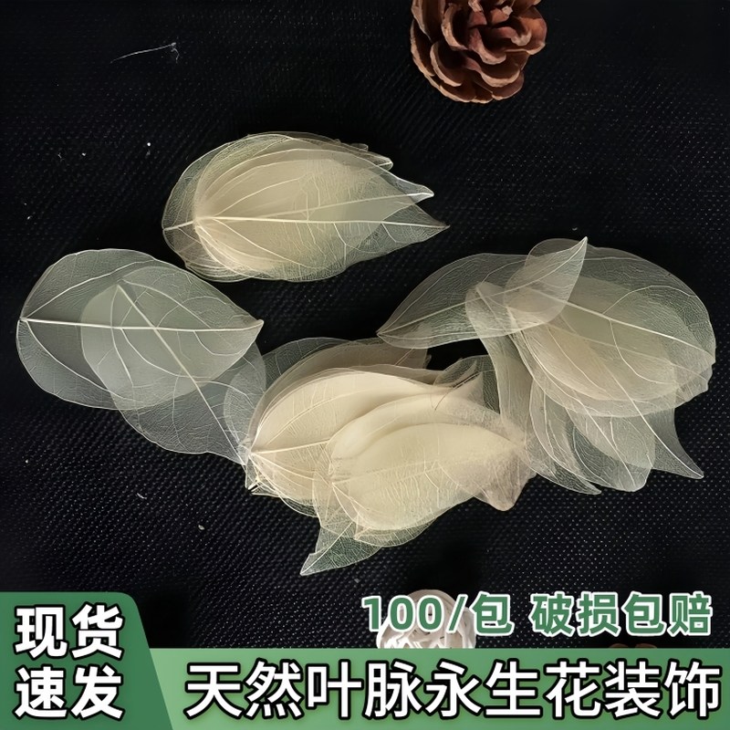 金刚叶叶脉树叶书签叶脉手工制作材料干花工艺品网状树叶贴画配件