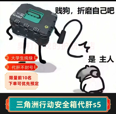 三角洲行动新s6赛季3×3安全箱任务护航陪玩代肝代练排位上分