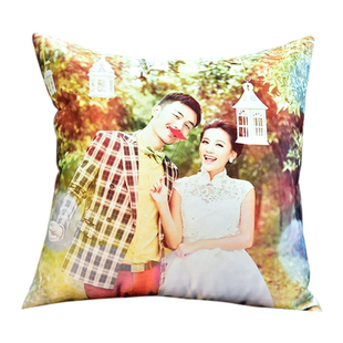 diy丑猫抱枕人形定制印照片定做异形玩偶宠物枕头猫狗仿礼物公仔