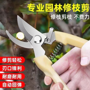剪树枝剪刀专用花剪园艺园林修枝园丁剪嫁接强力采摘省力修水果树