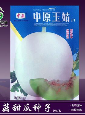 中原玉姑甜瓜种子超甜玉菇甜瓜种籽色淡绿玉菇甜瓜种子糖度18甜瓜