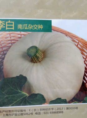 李白南瓜种子可食用白色板栗南瓜粉糯香甜农家小南瓜四季蔬菜种籽