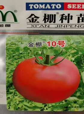 金棚10号番茄种子西安金鹏番茄种子 抗TY粉果大番茄 粉果西红柿