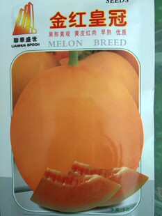 金红皇冠甜瓜种子黄皮红肉香瓜特甜超甜青甜景甜金冠金香玉种籽