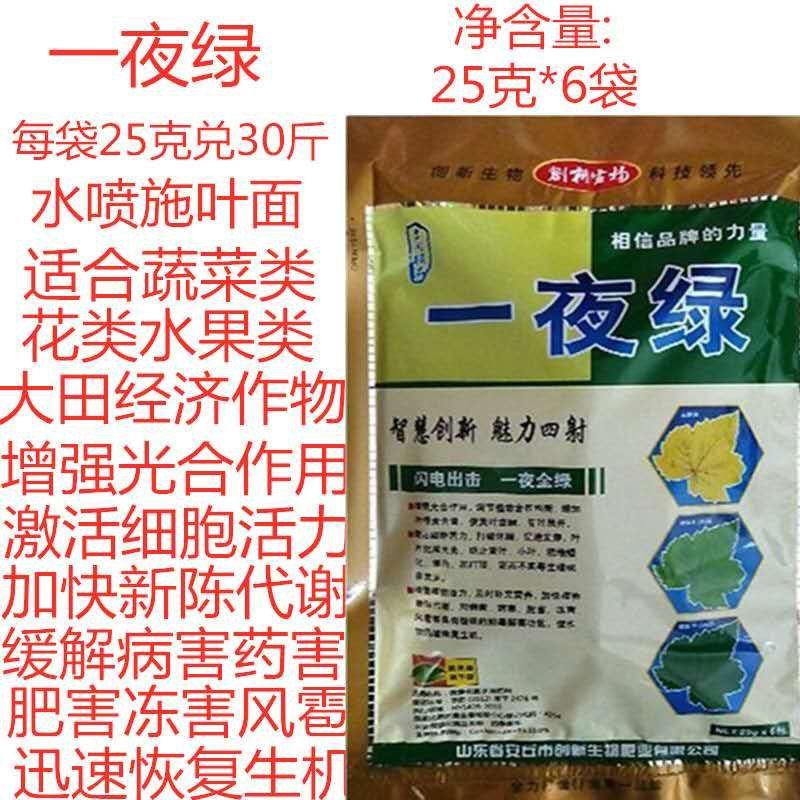 一夜绿叶面喷施铁镁锌钼硼黄叶变绿花卉蔬菜果树一喷绿
