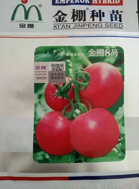 金棚番茄种子8号四季种植早熟高产 抗TY病毒硬果型粉红果容易坐果