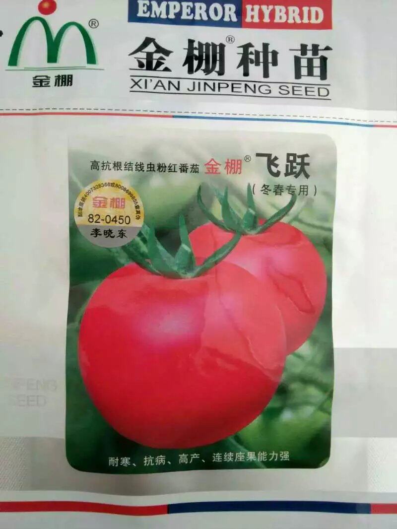 金棚飞跃冬春专用 粉果番茄种子 高抗根结线虫高秧粉红果蔬菜籽