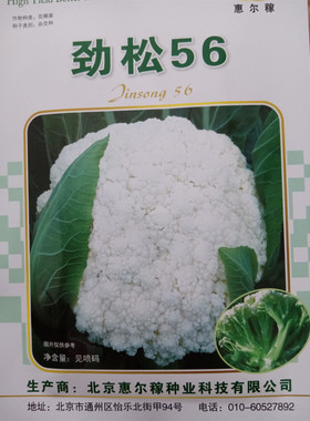 花菜种籽青梗松花菜种子劲松58 75 90天高产菜花四季蔬菜种籽