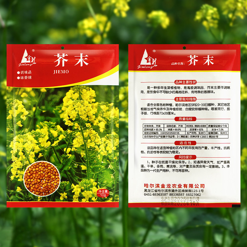 芥末种子种籽孑多年生家庭四季芥茉盆栽蔬菜春季夏季菜籽菜种籽种