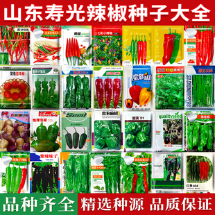 辣椒种子大全高产螺丝椒薄皮辣椒种孑阳台盆栽小米辣椒易种蔬菜孑