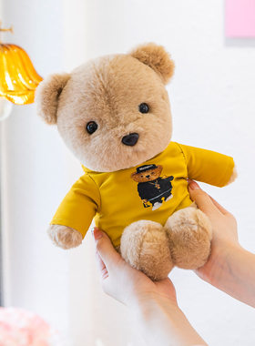 卫衣泰迪熊公仔小熊毛绒玩具 teddy婚庆抛洒娃娃毛熊玩偶生日礼物