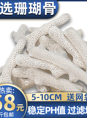 优选大珊瑚骨滤材优质天然珊瑚石鱼缸过滤材料水族箱底砂净水造景