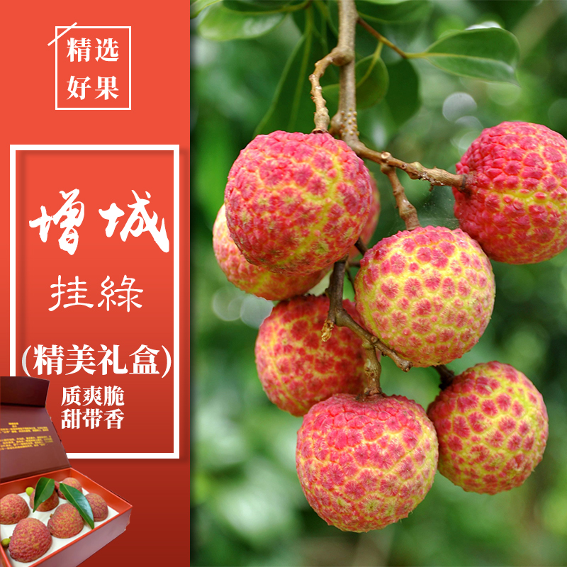 正宗 增城挂绿荔枝之王高端送礼定制贡品果场直供新鲜礼盒装顺丰