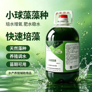高活性复合小球藻源淡水海水养殖培育溶氧有益藻相鱼苗天然饵料