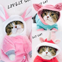 Симпатичная одежда для кошек Осеннее платье смешное осень и зимняя коротка голубая кошка, собака собака, домашнее молоко кот анти -хар