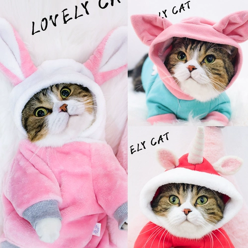 Симпатичная одежда для кошек Осеннее платье смешное осень и зимняя коротка голубая кошка, собака собака, домашнее молоко кот анти -хар