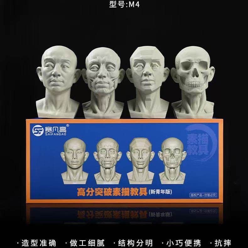 赛凡高树脂素描教具M4 头头是道头骨肌肉人头像青年原版青年块面雕塑摆 4件套 肌肉头骨绘画模型美术教具