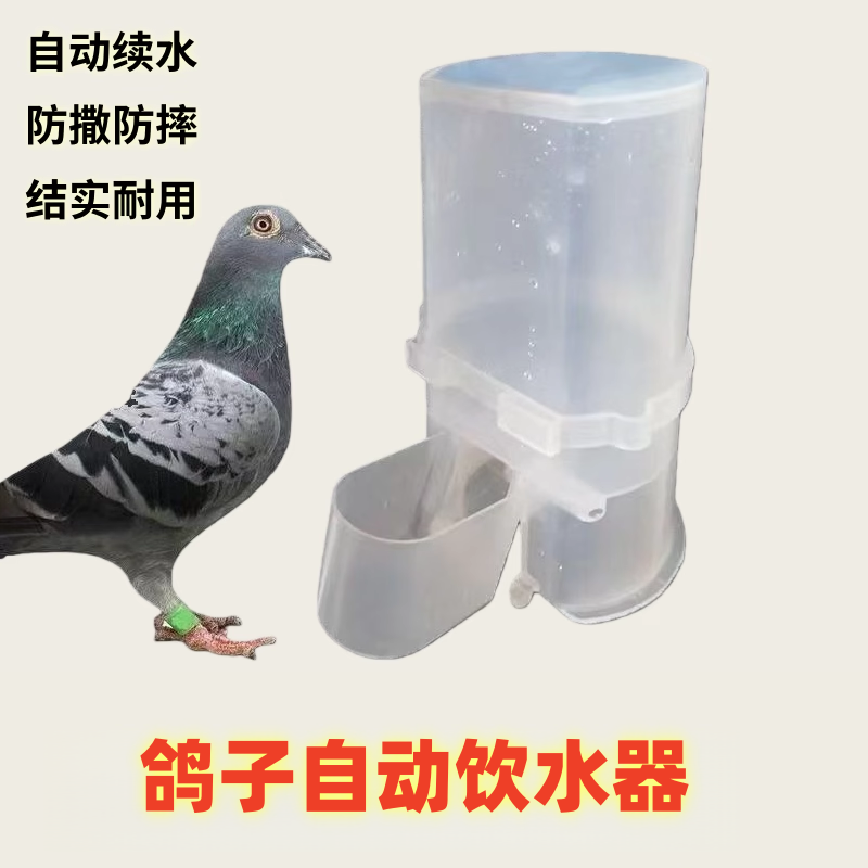 鸽子自动饮水器养殖信鸽鹦鹉喂水