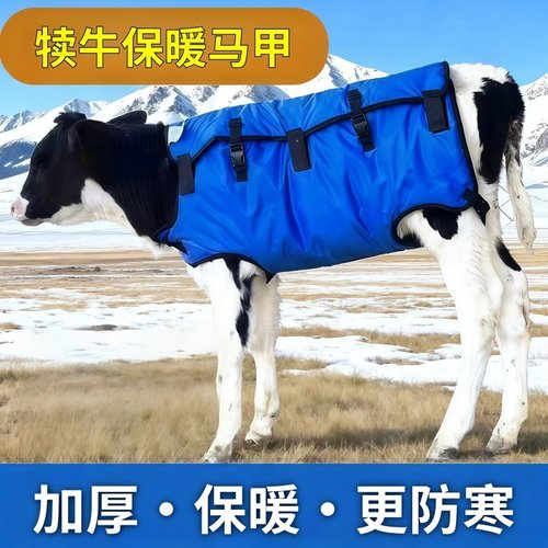 牛马甲加厚防水加绒外套牛犊幼牛