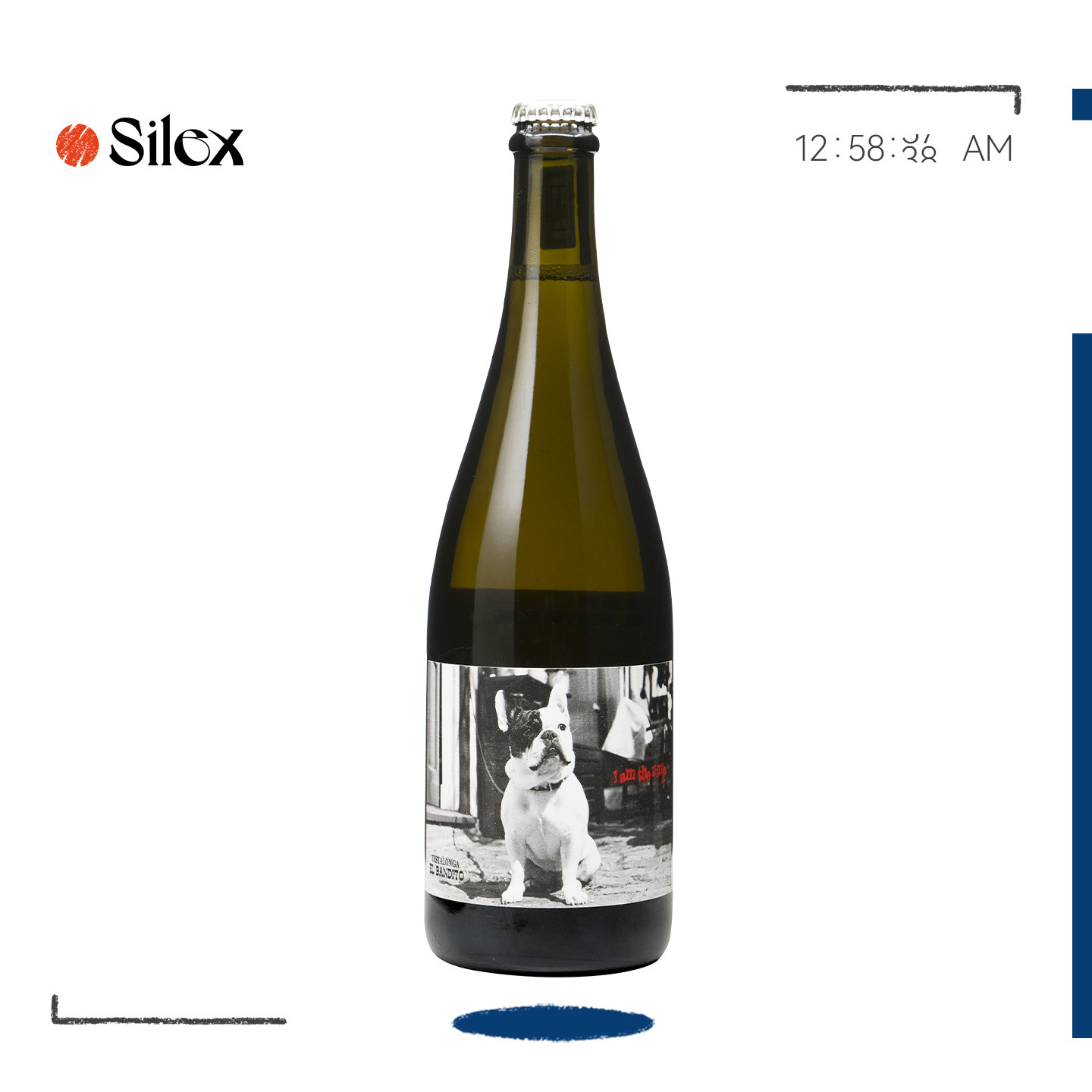 南非Testalonga自然酒接骨木柠檬苏打易饮爽脆小法斗起泡白葡萄酒