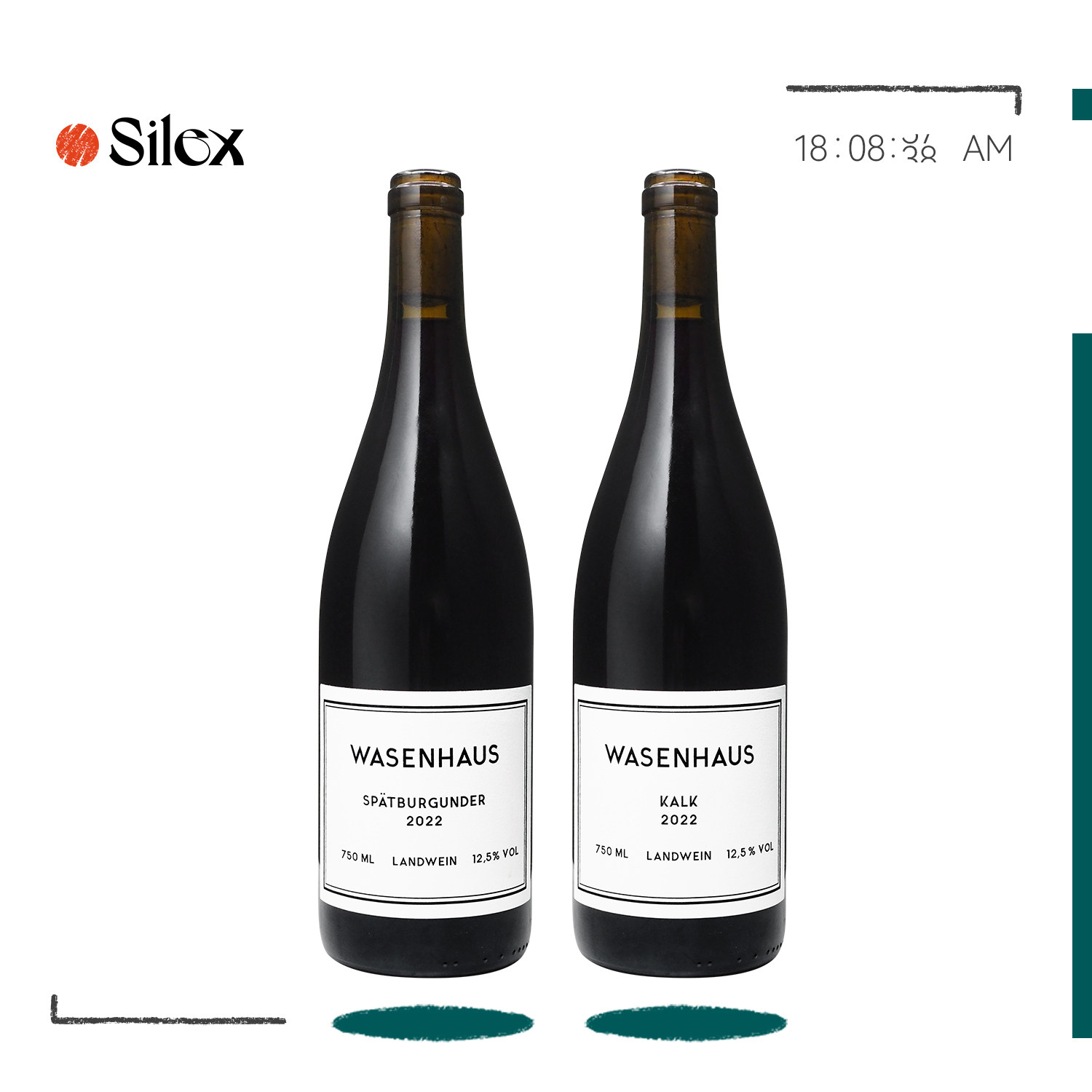 自然酒-德国Wasenhaus瓦森豪斯酒庄黑皮诺/石灰岩黑皮诺红葡萄酒