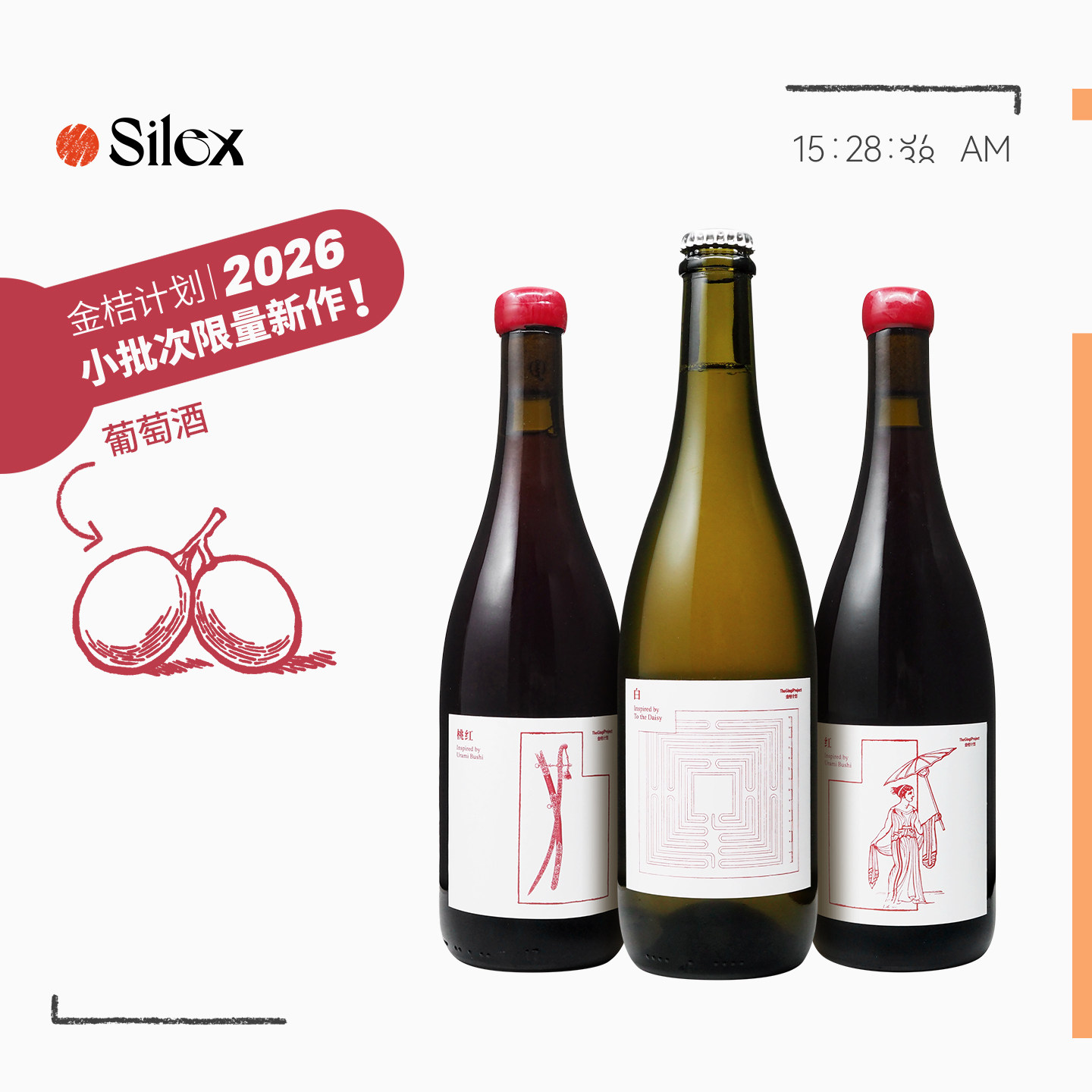 金桔计划自然酒合集GingiProject小批次限量新作白麝香干白葡萄酒