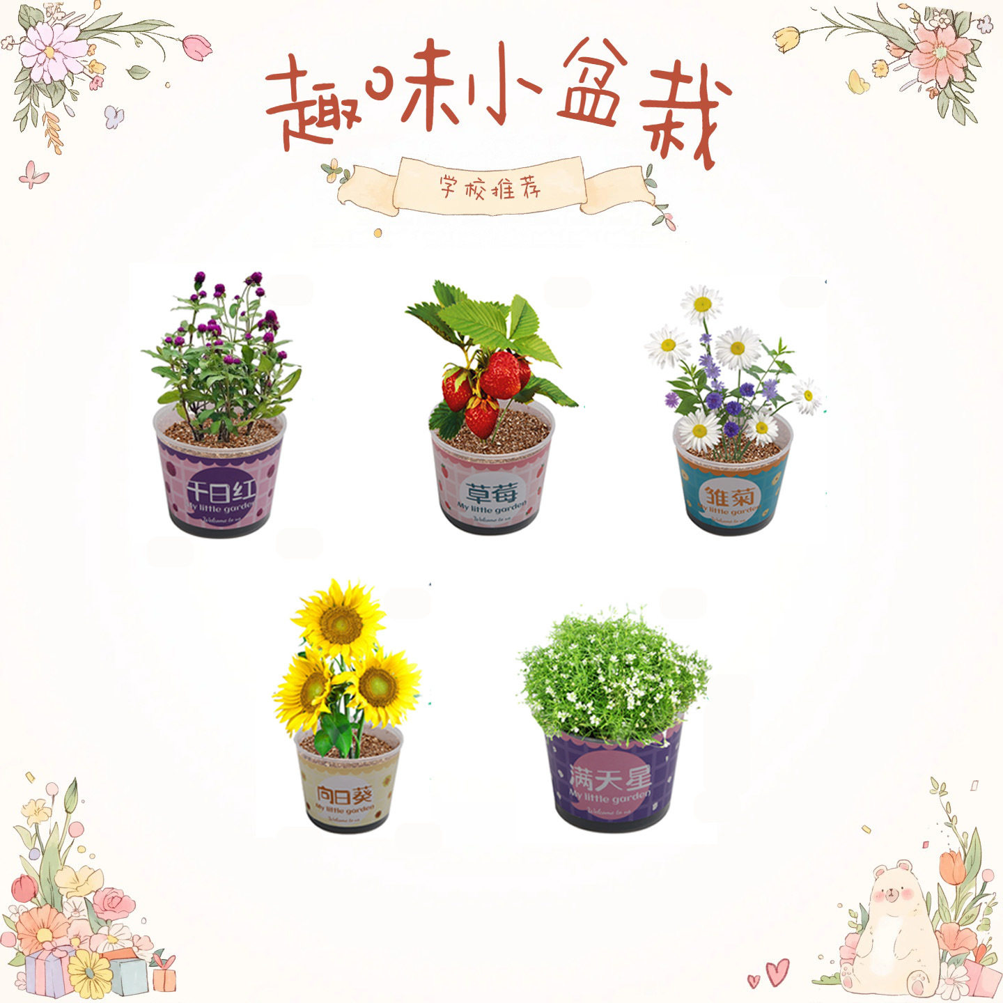 儿童种植小盆栽手工diy科学实验