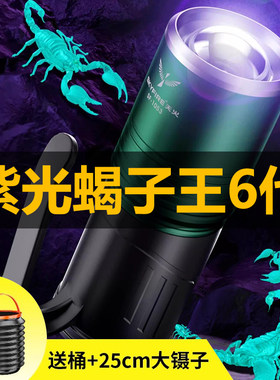 天火照蝎子专用灯395nm紫光强光