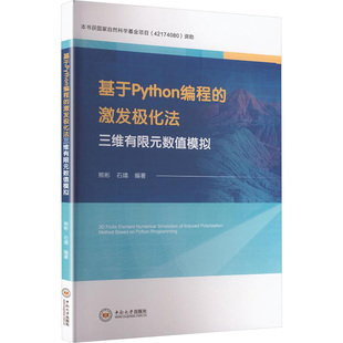 基于PYTHON编程的激发极化法三维有限元数值模拟软硬件技术