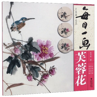 每日一画 中国画技法 芙蓉花