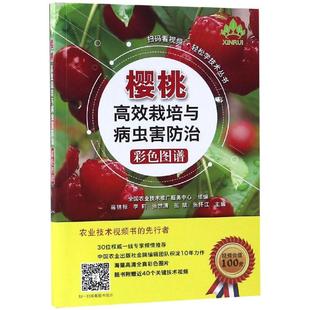 樱桃栽培与病虫害防治彩色图谱 全国农业技术推广服务中心 中国农业出版社有限公司 新华书店正版