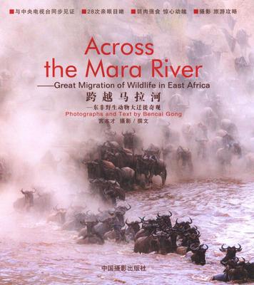 书籍正版 跨越马拉河:东非野生动物大迁徒奇观:great migration of wildlife  宫本才摄影撰文 中国摄影出版社 艺术 9787517900948