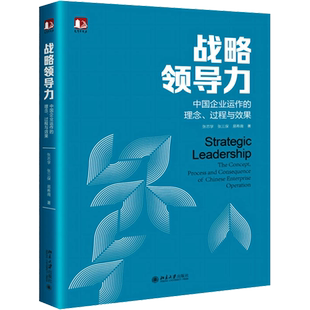 战略领导力 中国企业运作的理念、过程与效果：张志学,张三保,易希薇 著 大中专文科社科综合 大中专 北京大学出版社 图书