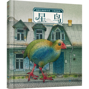 星鸟 (立陶宛)卡斯特提斯·卡斯帕维舍斯 著 辛未 译 绘本 少儿 贵州人民出版社 图书