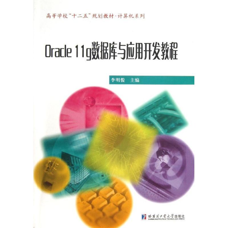 ORACLE 11G数据库与开发应用教程 李明俊 编 著 数据库 专业科技 哈尔滨工业大学出版社 9787560338620 图书